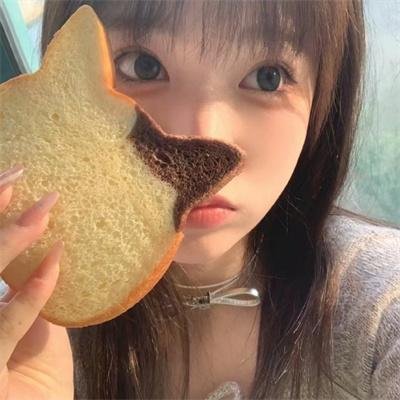 明星伙伴 第八季