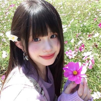 春城花满天